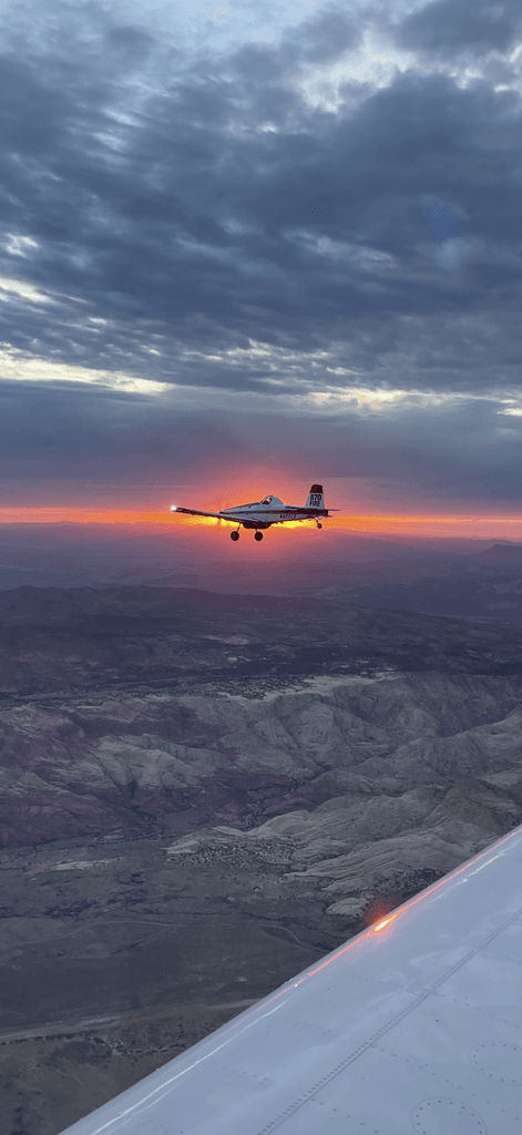 SEAT in flight